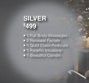 square - Self care Christmas Package 2022 - silver